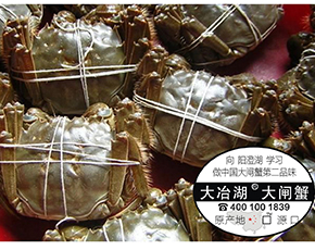 擎天柱撞水帘洞视频播映